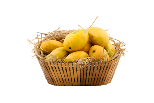 100% Premium Quality Garden Fresh Mango