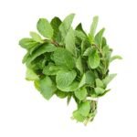 Mint Leaf
